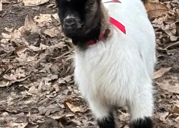à La Campagne 2 Casa vacanze